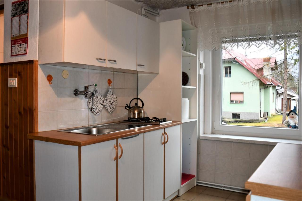 Apartment Lenc