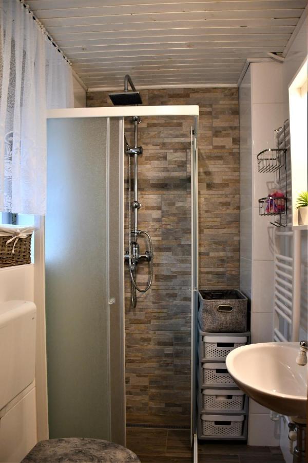 Apartment Lenc *